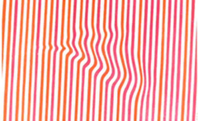 Świerzy, Warszawska Jesień